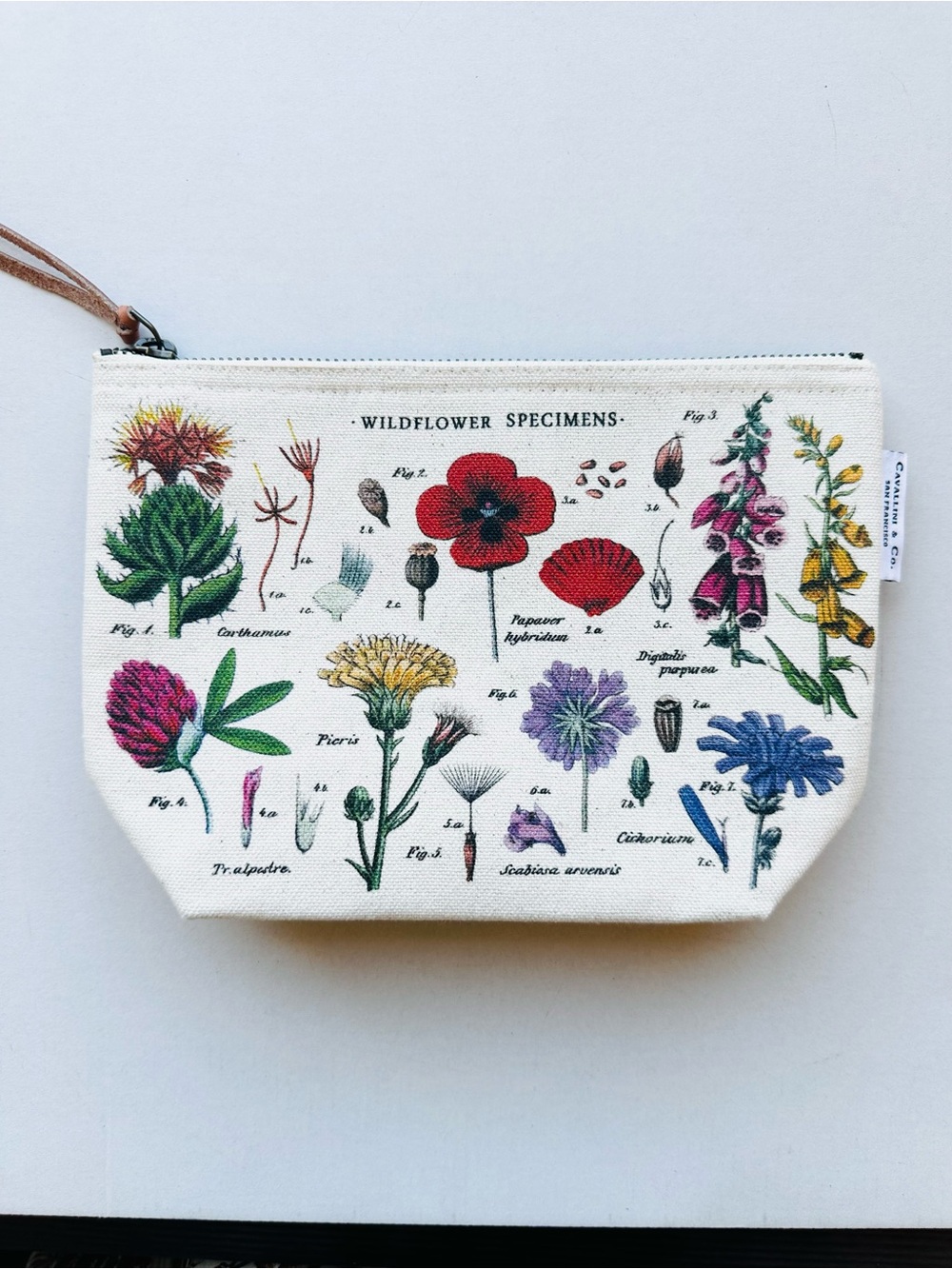 Wildflower Specimens Cream Floral Canvas Lined Cosmetic Makeup Pouch
